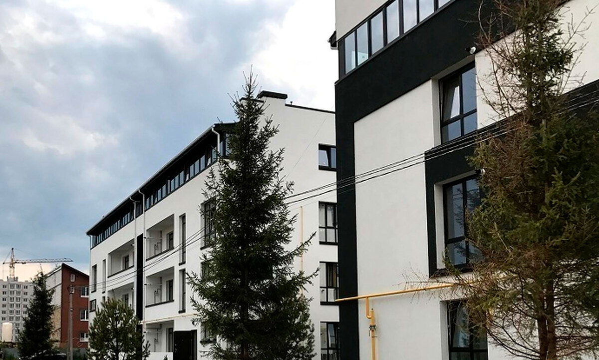 ���� ����� ����