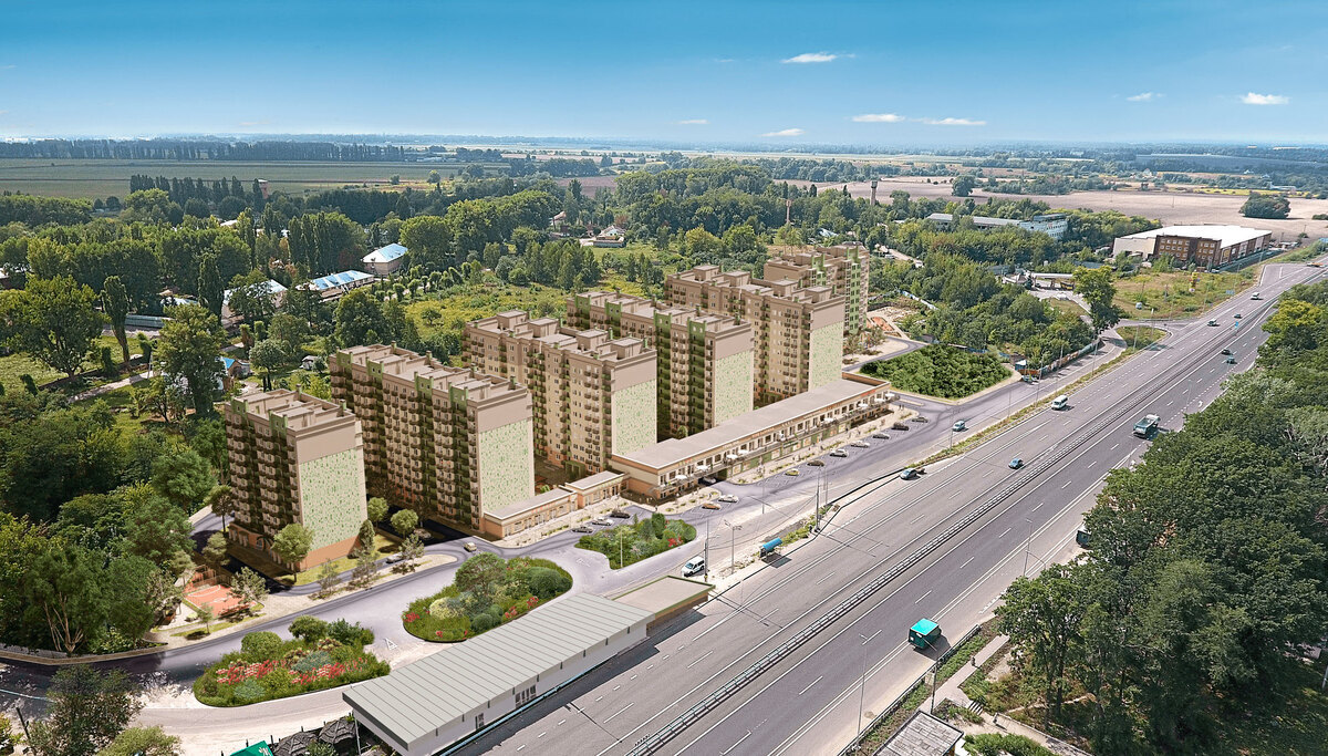 Green����� ����