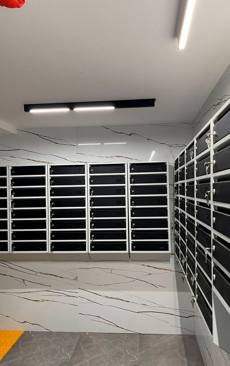 �������� ����