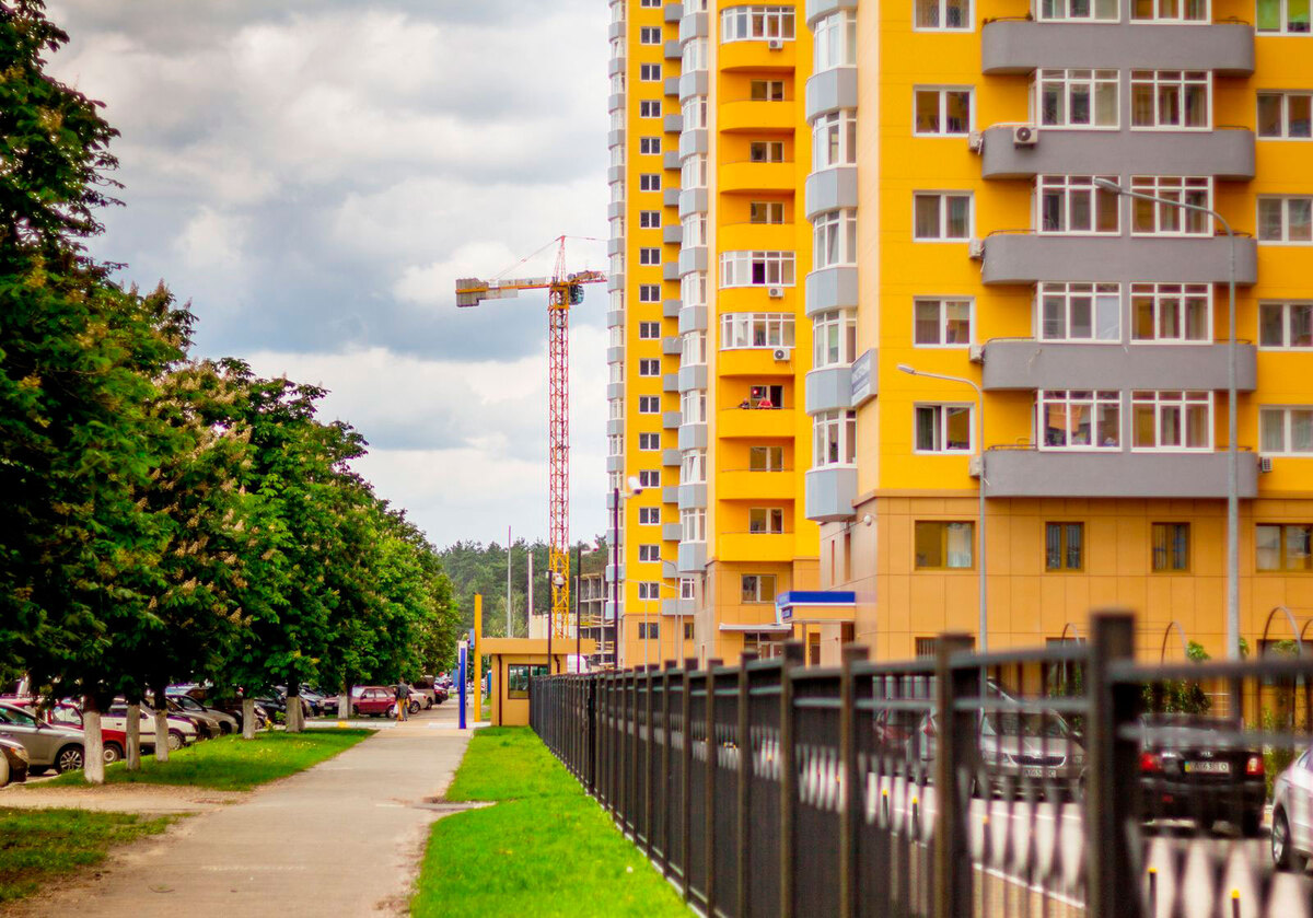 ̳����������� ����