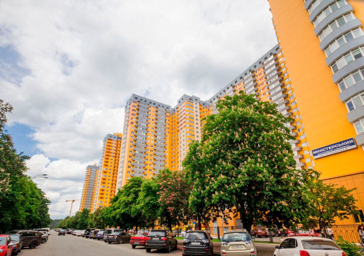 ̳����������� ����