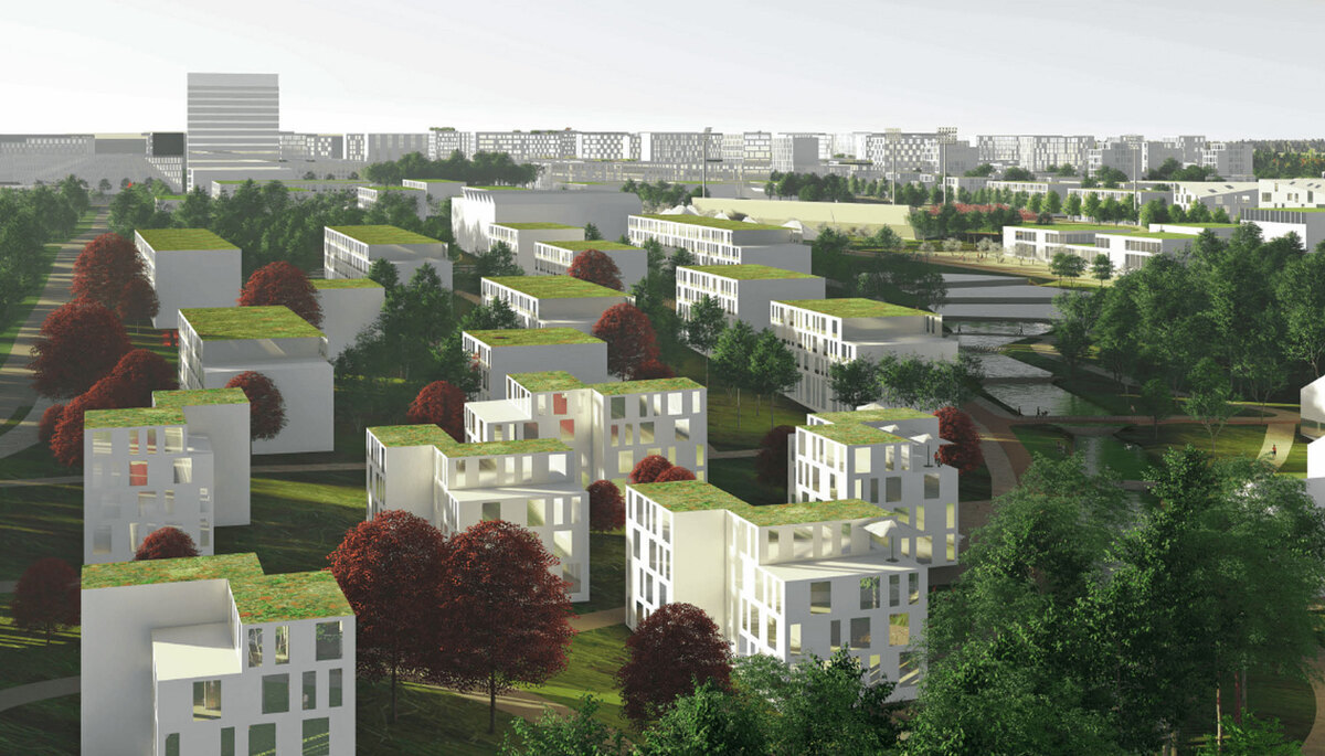 Vilne ����