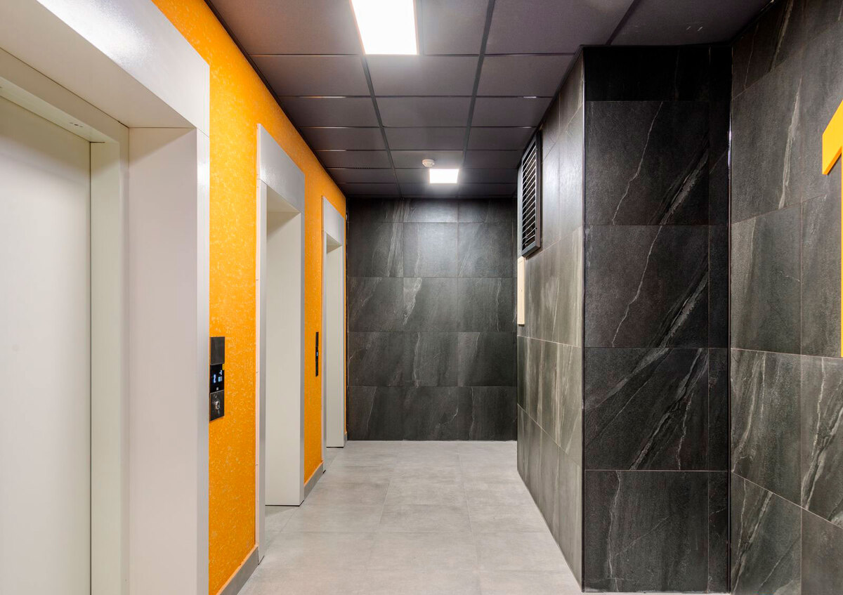 ������������� ���� ����