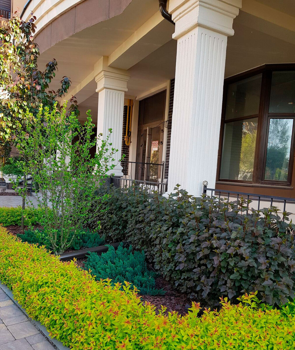 ����� ������� ����