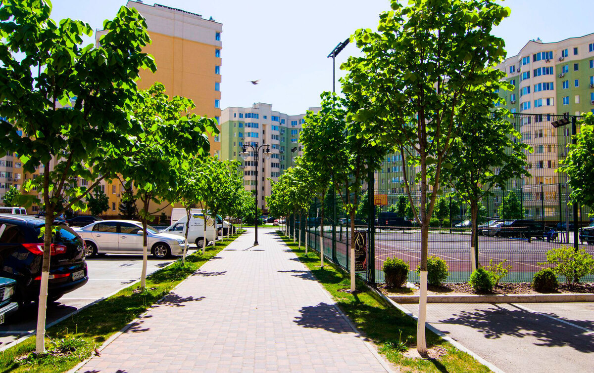 ����� ѳ� ����