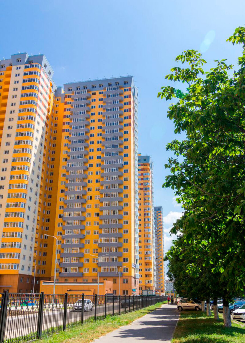 ̳����������� ����