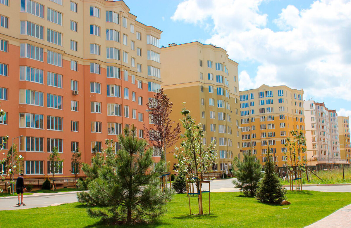 ����� ѳ� ����