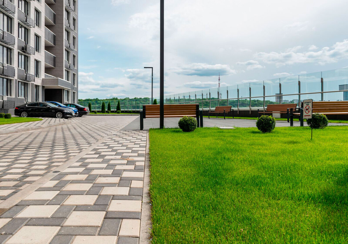 ������������� ���� ����