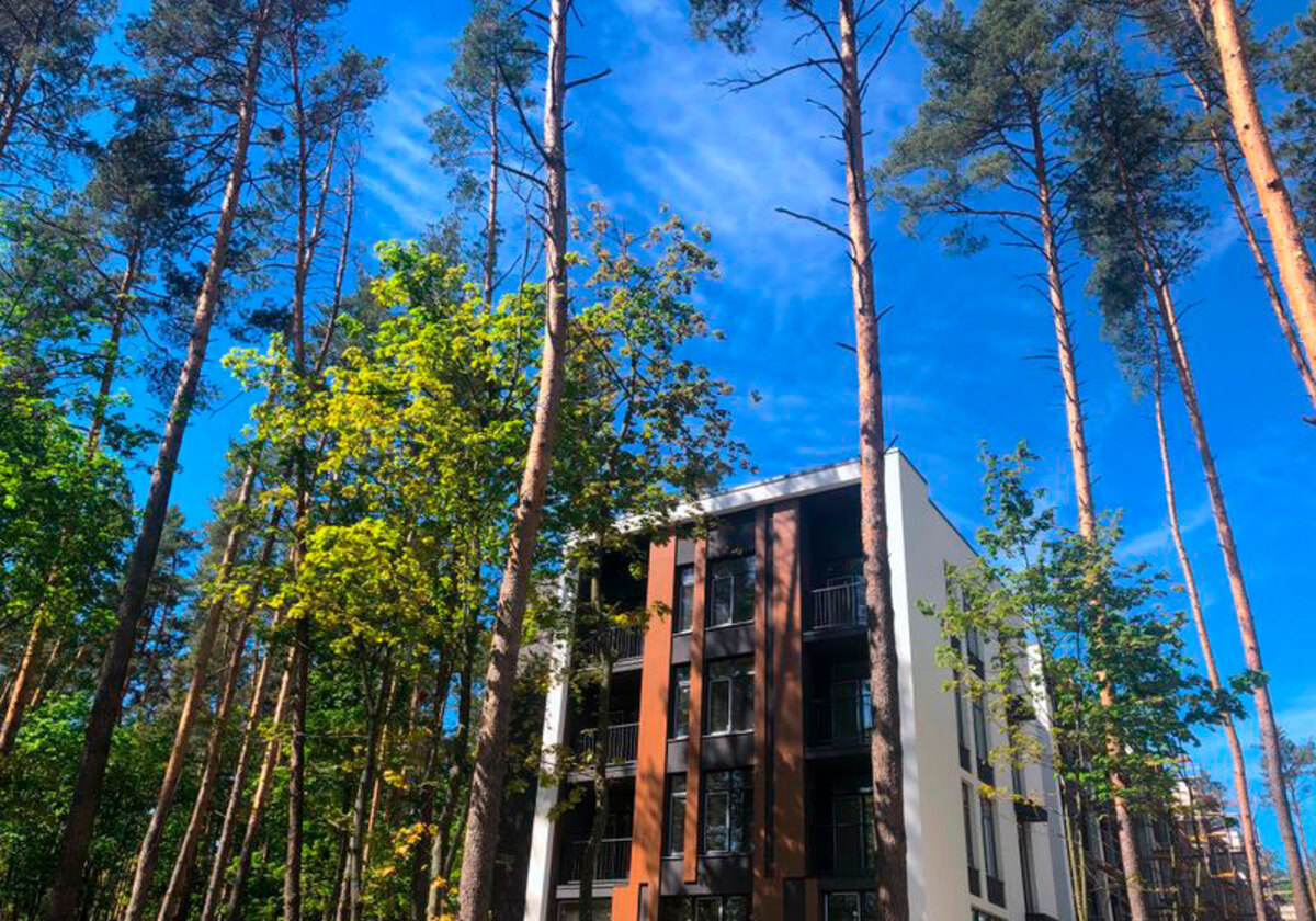 Forest Park ����