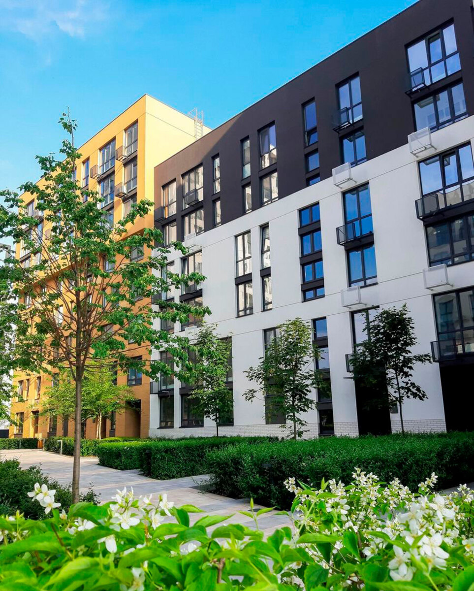 ����� ���� ����