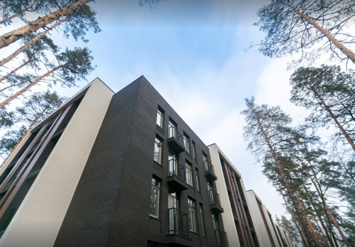 Forest Park ����