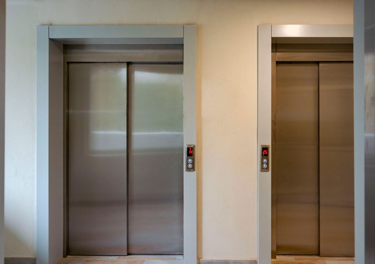 �������� ����