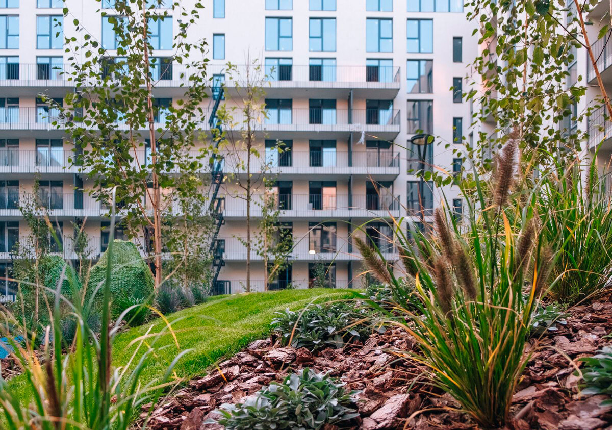 Rybalsky ����